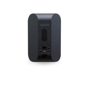 Bluesound Pulse Flex 2i