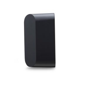 Bluesound Pulse Flex 2i