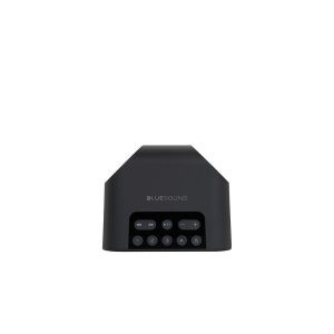 Bluesound Pulse Flex 2i