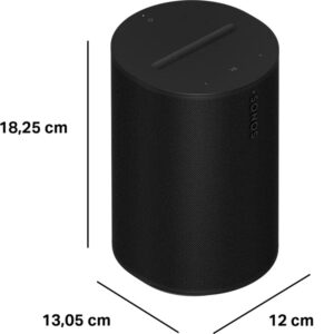 Sonos Era 100