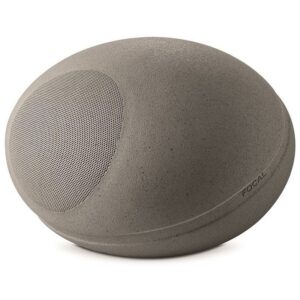 focal-littora