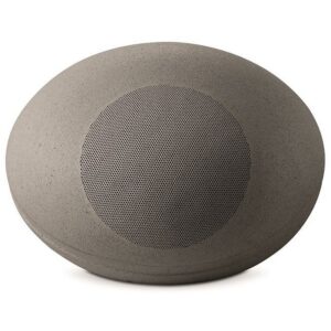 focal-littora