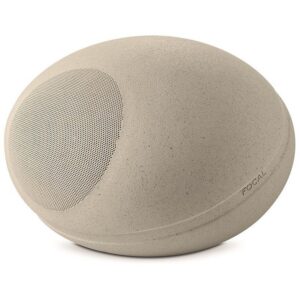focal-littora