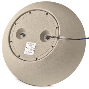 focal-littora