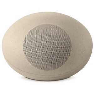 focal-littora
