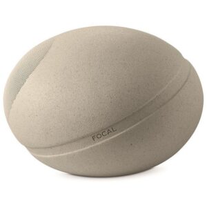 focal-littora