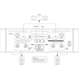 Eversolo AMP-F10