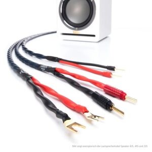 inakustik-speaker-425