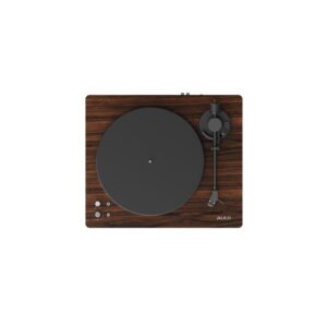 AULO-Mod1
