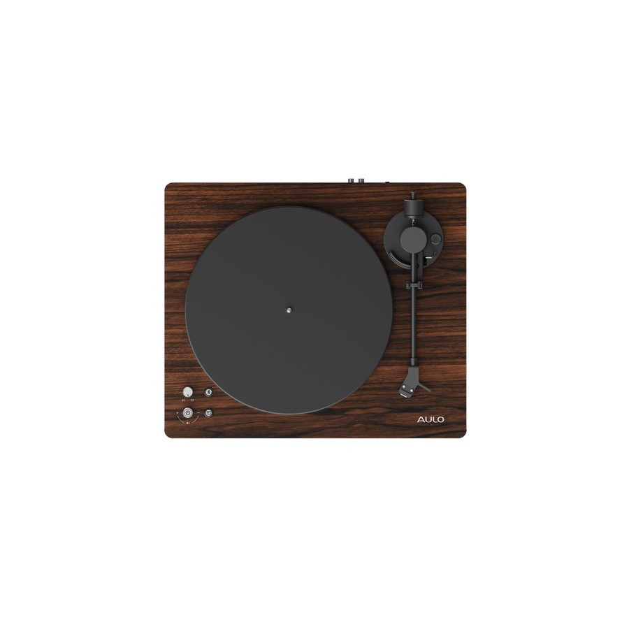 AULO-Mod1