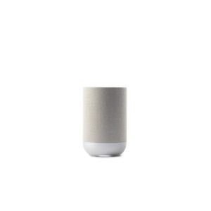 Denon Home 200 Stone