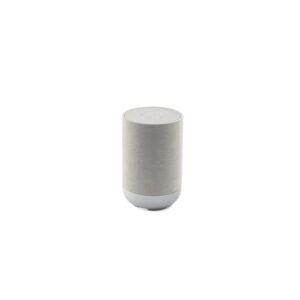 Denon Home 200 Stone