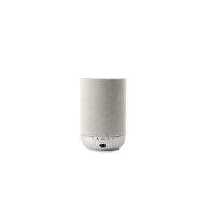 Denon Home 200 Stone