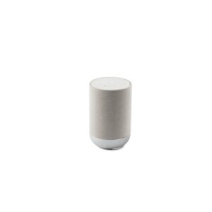 Denon Home 200 Stone