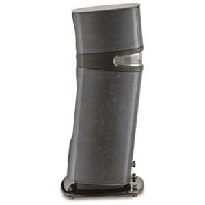 focal sopra 2 black ostrea