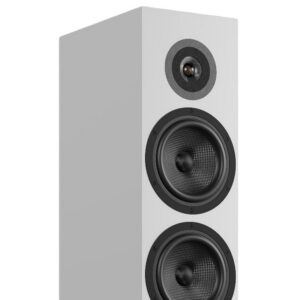 audio-physic-stream3-wit