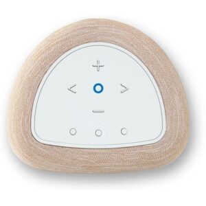 bluesound-pulse-flex-bruin