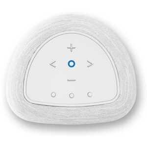 bluesound-pulse-flex-wit