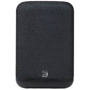 bluesound-pulse-flex-zwart