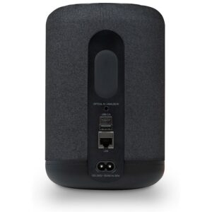 bluesound-pulse-flex-zwart