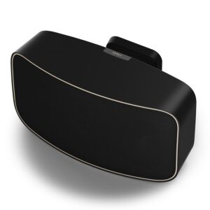 dali guardian black