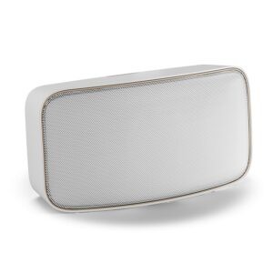 dali guardian white