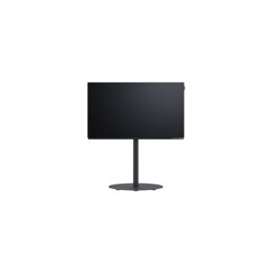 Loewe WE SEE 48 OLED DC