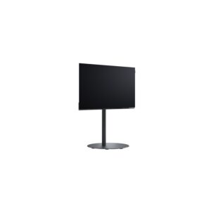 Loewe WE SEE 55 OLED DC